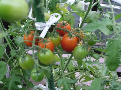 DSCF0390.JPG - 12,603BYTES