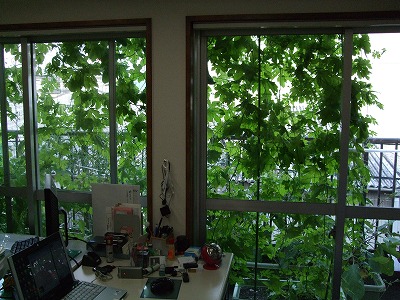 DSCF0390.JPG - 12,603BYTES