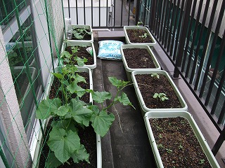 DSCF0390.JPG - 12,603BYTES