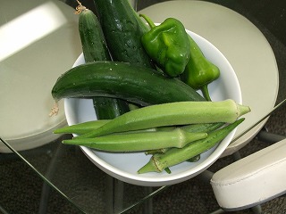 DSCF0390.JPG - 12,603BYTES